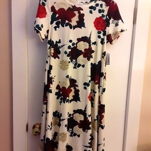 Lularoe Carly dress